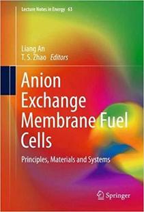 【预售】Anion Exchange Membrane Fuel Cells