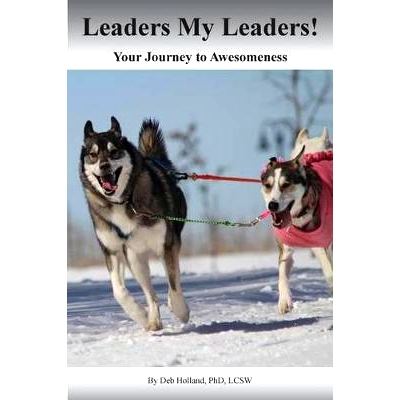预订 Leaders My Leaders!: Your Journey to Awesomeness: 9781530499038