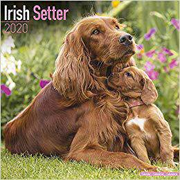 美国库房发货,通常付款后5-8周到货!