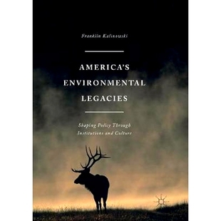 Policy America’s Legacies Culture 9781349956708 Institutions 预订 through Shaping Environmental and