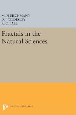 【预订】Fractals in the Natural Sciences