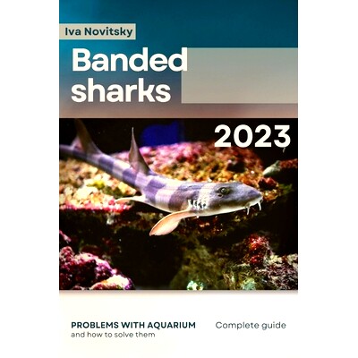 预订 Banded sharks: Problems with aquarium and how to solve them: 9798864926239