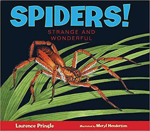 [预订]Spiders!: Strange and Wonderful 9781629793214