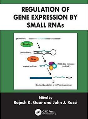 【预售】Regulation of Gene Expression by Small RNAs