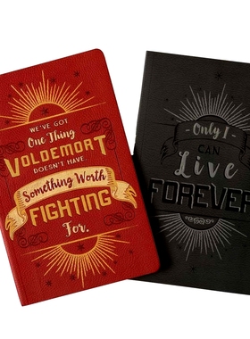 现货 哈利波特与伏地魔 笔记本套装 进口文创 英文原版 哈迷礼物 Character Notebook Harry Potter and Voldemort