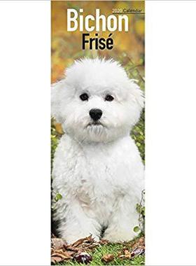 【预售】Bichon Frise Calendar 2020