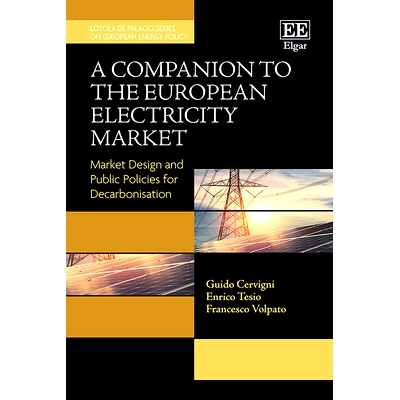 预订 A Companion to the European Electricity Market: Market Design and Public Policies for Decarbonisation 欧洲电力市场