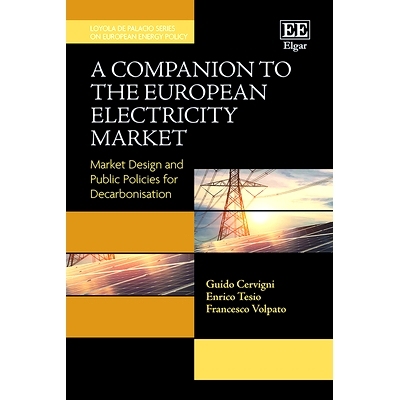 预订 A Companion to the European Electricity Market: Market Design and Public Policies for Decarbonisation 欧洲电力市场