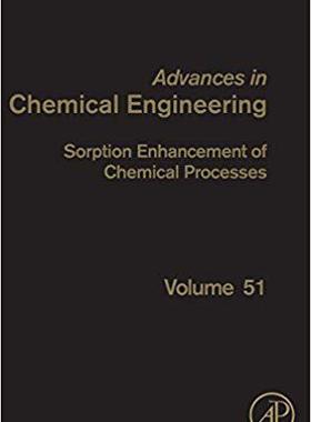 【预售】Sorption Enhancement of Chemical Pro...