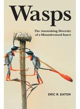 预订 Wasps: The Astonishing Diversity of a Misunderstood Insect黄蜂: 9780691211428