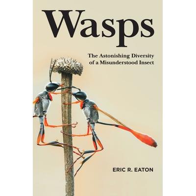 预订 Wasps: The Astonishing Diversity of a Misunderstood Insect黄蜂: 9780691211428
