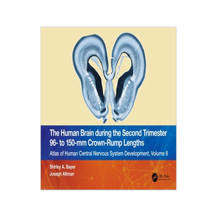 [预订]The Human Brain during the Second Trimester 96– to 150–mm Crown-Rump Lengths 9781032224619
