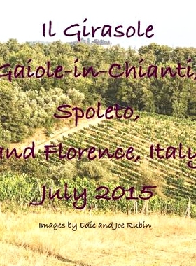 预订 Il Girasole, Gaiole-In-Chianti ...: 9781548099527