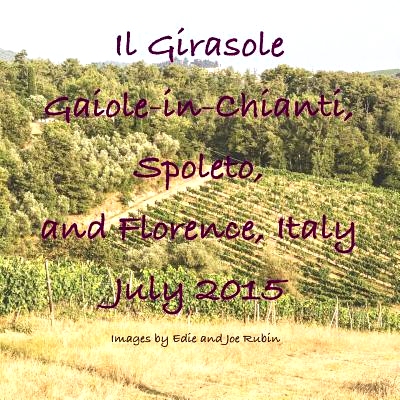 预订 Il Girasole, Gaiole-In-Chianti ...: 9781548099527