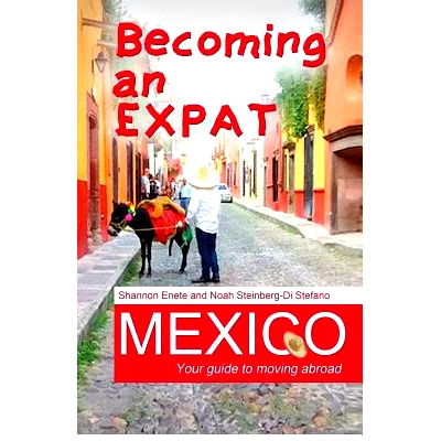 预订 Becoming an Expat Mexico: Your guide to moving abroad: 9781938216145