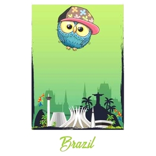 Hip Brazil Hop 9781723731396 Owl 预订