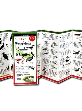 预订 Sibley’s Waterbirds of Sanibel & Captiva: 9781621262404