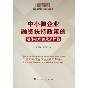 中小微企业融资扶持政策的运作机理和效果评估  9787010248813