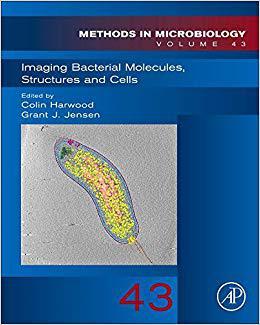 【预售】Imaging Bacterial Molecules, Structures and Cells