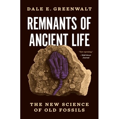 现货 Remnants of Ancient Life: The New Science of Old Fossils 古生遗迹余痕:旧化石新科学: 9780691221168