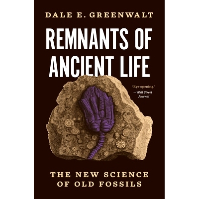 现货 Remnants of Ancient Life: The New Science of Old Fossils 古生遗迹余痕:旧化石新科学: 9780691221168