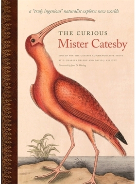 预订 Curious Mister Catesby: A 