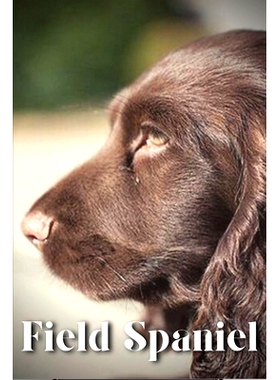 预订 Field Spaniel: Dog breed overview and guide 田野猎犬: 9798851991479