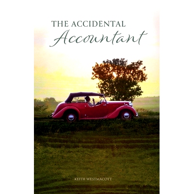 预订 The Accidental Accountant: 9781716154935