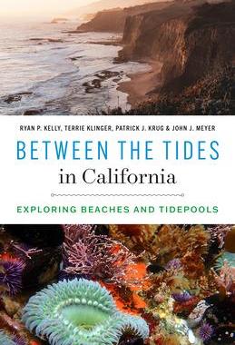 预订 Between the Tides in California