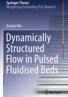 【预订】Dynamically Structured Flow in Pulsed Fluidised Beds 9783030687540