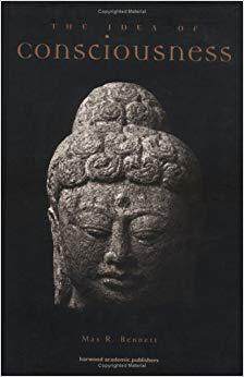 【预售】Idea of Consciousness