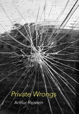 现货 Private Wrongs 9780674659803
