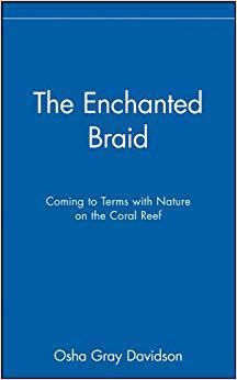 【预售】The Enchanted Braid