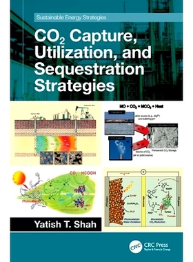 预订 CO2 Capture, Utilization, and Sequestration Strategies: 9781032135052