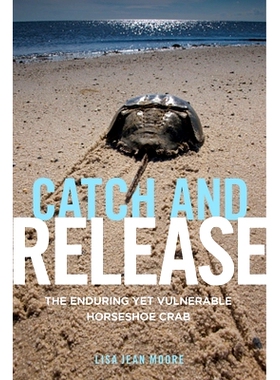 预订 Catch and Release: The Enduring Yet Vulnerable Horseshoe Crab 抓与放：持久脆弱的马蹄蟹（平装）: 9781479848478