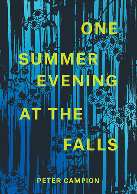 【预订】One Summer Evening at the Falls 9780226737119