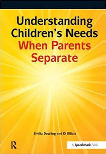 【预售】Understanding Childrens Needs When Parents Separate