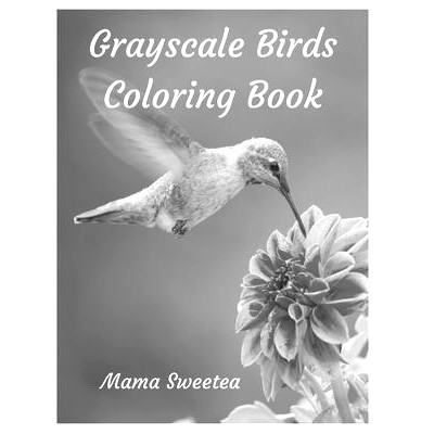 预订 Grayscale Birds Coloring Book: 9798541428445