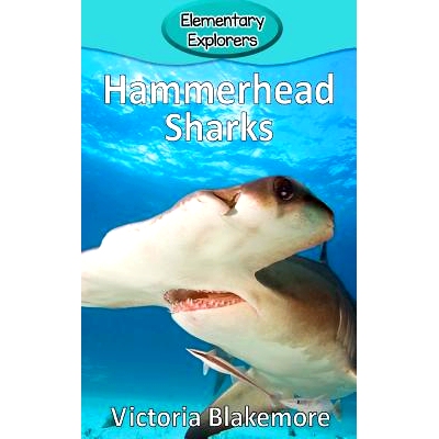 预订 Hammerhead Sharks: 9781947439474