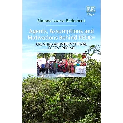 Creating An International Forest Regime