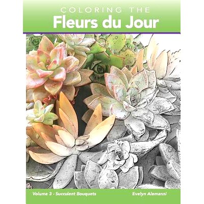 预订 Coloring the Fleurs Du Jour Volume 3: Succulent Bouquets: 9781791626891