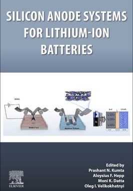 【预订】Silicon Anode Systems for Lithium-Ion Batteries 9780128196601