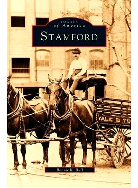 预订 Stamford: 9781531619961