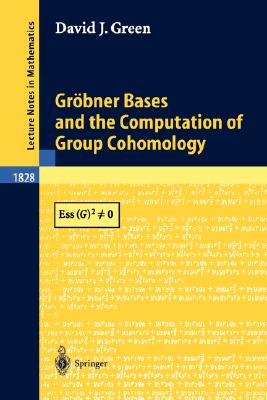 【预订】Gröbner Bases and the Computation of Group Cohomology