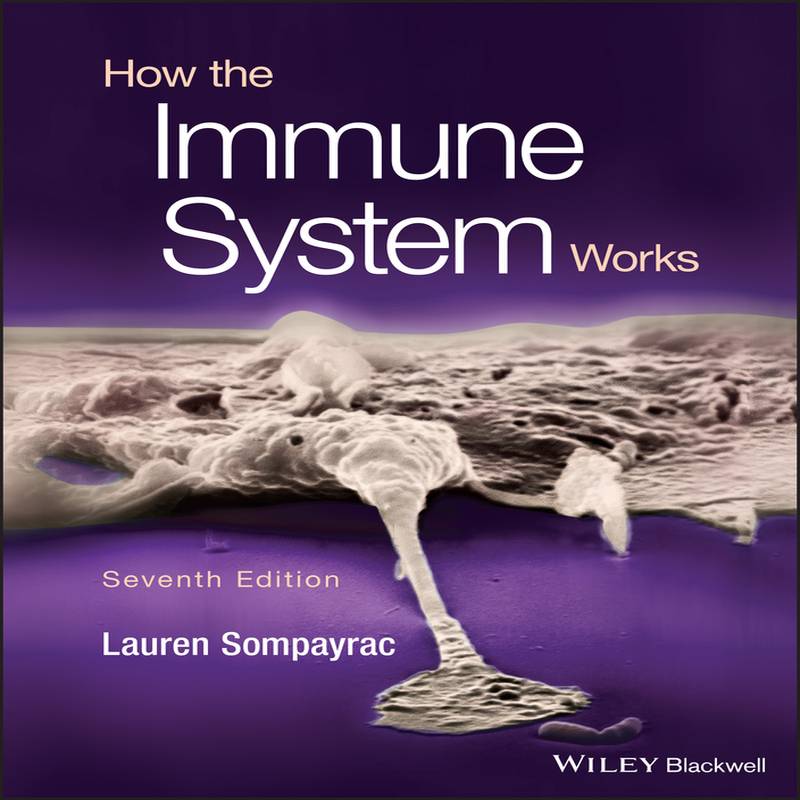 HowTheImmuneSystemWorks