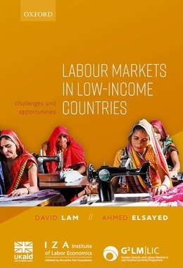 【预订】Labour Markets in Low-Income Countries 9780192897107