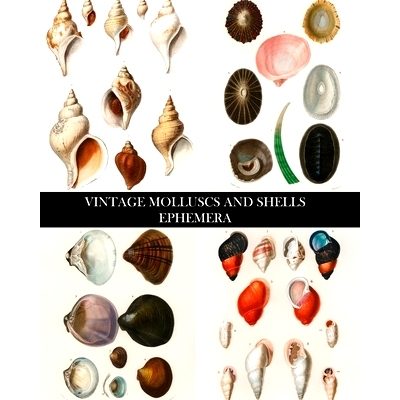 预订 Vintage Molluscs and Shell Ephemera: Conchology Decorative Paper for Collages, Decoupage and Junk Journals: 9798210