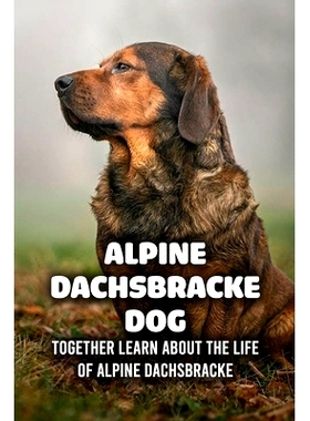 预订 Alpine Dachsbracke Dog: Together Learn About The Life of Alpine Dachsbracke: How Well Do You Know About Alpine Dach