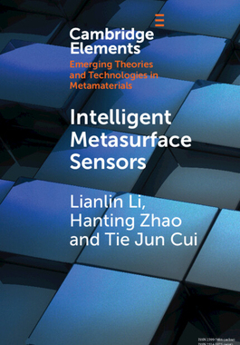 预订 Intelligent Metasurface Sensors