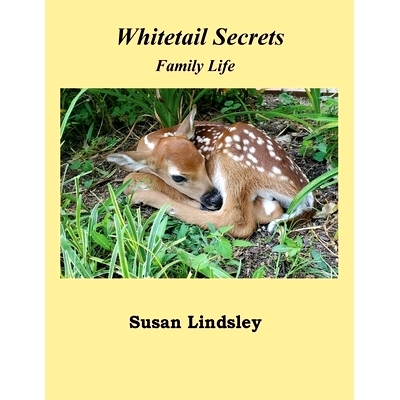 预订 Whitetail Secrets: Family Life: 9781737762034